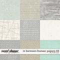 In Between Frames Extra Papers by Studio Basic In Between Frames Extra Papers by Studio Basic