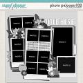 Cindy's Layered Templates - Photo Palooza 632 by Cindy Schneider