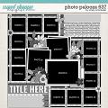 Cindy's Layered Templates - Photo Palooza 637 by Cindy Schneider Cindy's Layered Templates - Photo Palooza 637 by Cindy Schneider