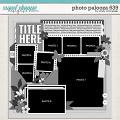 Cindy's Layered Templates - Photo Palooza 639 by Cindy Schneider