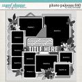 Cindy's Layered Templates - Photo Palooza 640 by Cindy Schneider