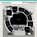 Cindy's Layered Templates - Photo Palozoa 642 by Cindy Schneider