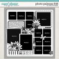 Cindy's Layered Templates - Photo Palooza 646 by Cindy Schneider Cindy's Layered Templates - Photo Palooza 646 by Cindy Schneider