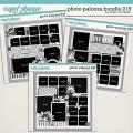 Cindy's Layered Templates - Photo Palooza Bundle 215 by Cindy Schneider Cindy's Layered Templates - Photo Palooza Bundle 215 by Cindy Schneider