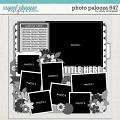Cindy's Layered Templates - Photo Palooza 647 by Cindy Schneider Cindy's Layered Templates - Photo Palooza 647 by Cindy Schneider