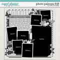 Cindy's Layered Templates - Photo Palooza 649 by Cindy Schneider Cindy's Layered Templates - Photo Palooza 649 by Cindy Schneider