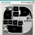 Cindy's Layered Templates - Photo Palooza 650 by Cindy Schneider Cindy's Layered Templates - Photo Palooza 650 by Cindy Schneider