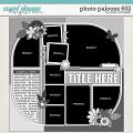 Cindy's Layered Templates - Photo Palooza 652 by Cindy Schneider