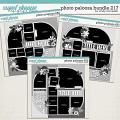Cindy's Layered Templates - Photo Palooza Bundle 217 by Cindy Schneider Cindy's Layered Templates - Photo Palooza Bundle 217 by Cindy Schneider
