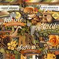 A Wild Adventure by Studio Flergs A Wild Adventure by Studio Flergs
