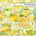 Lemon Crush by Blagovesta Gosheva