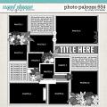 Cindy's Layered Templates - Photo Palooza 654 by Cindy Schneider Cindy's Layered Templates - Photo Palooza 654 by Cindy Schneider