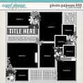 Cindy's Layered Templates - Photo Palooza 655 by Cindy Schneider