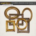 CU REALISTIC ELEMENTS | ORNATE FRAMES V.2 by The Nifty Pixel