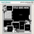 Cindy's Layered Templates - Photo Palooza 656 by Cindy Schneider