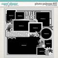 Cindy's Layered Templates - Photo Palooza 657 by Cindy Schneider