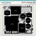 Cindy's Layered Templates - Photo Palooza 658 by Cindy Schneider