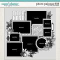 Cindy's Layered Templates - Photo Palooza 659 by Cindy Schneider Cindy's Layered Templates - Photo Palooza 659 by Cindy Schneider