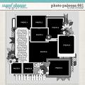 Cindy's Layered Templates - Photo Palooza 661 by Cindy Schneider Cindy's Layered Templates - Photo Palooza 661 by Cindy Schneider