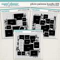 Cindy's Layered Templates - Photo Palooza Bundle 220 by Cindy Schneider Cindy's Layered Templates - Photo Palooza Bundle 220 by Cindy Schneider