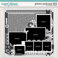 Cindy's Layered Templates - Photo Palooza 664 by Cindy Schneider