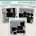 Cindy's Layered Templates - Photo Palooza Bundle 221 by Cindy Schneider
