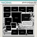Cindy's Layered Templates - Photo Palooza 665 by Cindy Schneider