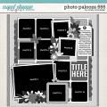 Cindy's Layered Templates - Photo Palooza 666 by Cindy Schneider