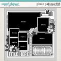Cindy's Layered Templates - Photo Palooza 668 by Cindy Schneider Cindy's Layered Templates - Photo Palooza 668 by Cindy Schneider