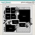 Cindy's Layered Templates - Photo Palooza 670 by Cindy Schneider Cindy's Layered Templates - Photo Palooza 670 by Cindy Schneider