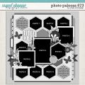 Cindy's Layered Templates - Photo Palooza 673 by Cindy Schneider Cindy's Layered Templates - Photo Palooza 673 by Cindy Schneider