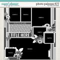 Cindy's Layered Templates - Photo Palooza 677 by Cindy Schneider Cindy's Layered Templates - Photo Palooza 677 by Cindy Schneider