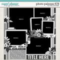 Cindy's Layered Templates - Photo Palooza 678 by Cindy Schneider Cindy's Layered Templates - Photo Palooza 678 by Cindy Schneider