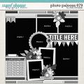 Cindy's Layered Templates - Photo Palooza 679 by Cindy Schneider Cindy's Layered Templates - Photo Palooza 679 by Cindy Schneider