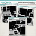 Cindy's Layered Templates - Photo Palooza Bundle 226 by Cindy Schneider Cindy's Layered Templates - Photo Palooza Bundle 226 by Cindy Schneider