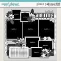 Cindy's Layered Templates - Photo Palooza 686 by Cindy Schneider