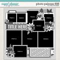 Cindy's Layered Templates - Photo Palooza 688 by Cindy Schneider Cindy's Layered Templates - Photo Palooza 688 by Cindy Schneider