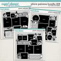 Cindy's Layered Templates - Photo Palooza Bundle 229 by Cindy Schneider