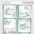 Collect Moments by Fiddle-Dee-Dee Designs Collect Moments by Fiddle-Dee-Dee Designs