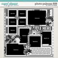 Cindy's Layered Templates - Photo Palooza 689 by Cindy Schneider Cindy's Layered Templates - Photo Palooza 689 by Cindy Schneider