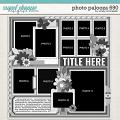 Cindy's Layered Templates - Photo Palozoa 690 by Cindy Schneider Cindy's Layered Templates - Photo Palozoa 690 by Cindy Schneider