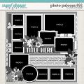 Cindy's Layered Templates - Photo Palooza 691 by Cindy Schneider Cindy's Layered Templates - Photo Palooza 691 by Cindy Schneider