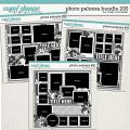 Cindy's Layered Templates - Photo Palooza Bundle 230 by Cindy Schneider