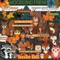 Autumn Glow Wildlife by Clever Monkey Graphics Autumn Glow Wildlife by Clever Monkey Graphics