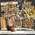 31: COLLECTION & *FWP* by Studio Flergs