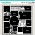 Cindy's Layered Templates - Photo Palooza 698 by Cindy Schneider