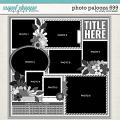 Cindy's Layered Templates - Photo Palooza 699 by Cindy Schneider Cindy's Layered Templates - Photo Palooza 699 by Cindy Schneider