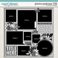 Cindy's Layered Templates - Photo Palooza 700 by Cindy Schneider