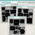 Cindy's Layered Templates - Photo Palooza Bundle 233 by Cindy Schneider