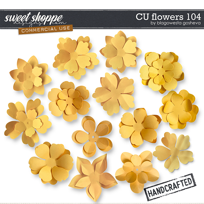 CU Flowers 104 by Blagovesta Gosheva